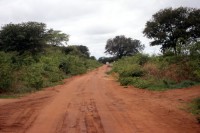 /album/zimbabwe/zimbabwe-1a-pista-dintorni-di-victoria-falls-jpg1/